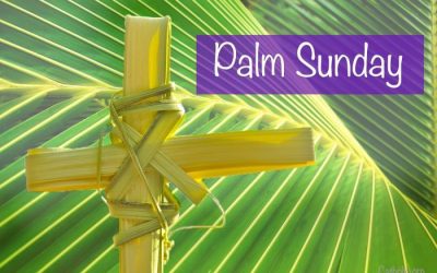 Rev. Fr. Ethelbert Ukpabi Speaks About The Significance of Palm Sunday